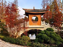 景点-上海植物园