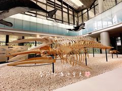 -中国（海南）南海博物馆