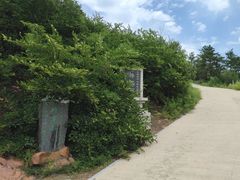 -红山国家森林公园