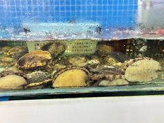 -陈小厨海鲜大咖·15年平潭味(龙王头店)