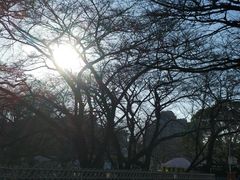-名古屋城