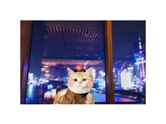 -上海外滩茂悦大酒店
