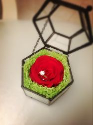 点击看大图 -威德钻石-克拉钻大本营(南京东路店)