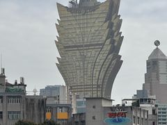 -洪馨椰子