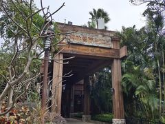 -雨林餐厅(长隆海洋王国店)