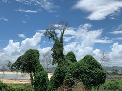 -漳州滨海火山岛自然生态风景区