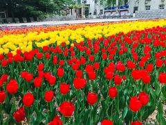 -北京邮电大学