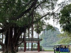 -星湖旅游景区七星岩