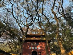 -普陀山风景名胜区-法雨禅寺