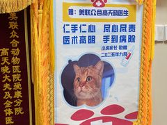 -美联众合爱康动物医院•复杂内科•肿瘤科•牙科•腔镜诊疗中心