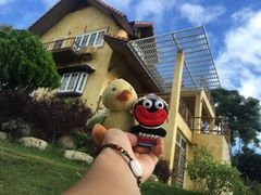 -黄色小屋