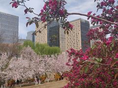 -元大都城垣遗址公园