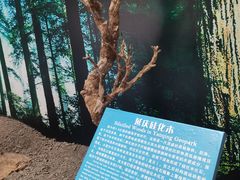 -延庆地质公园博物馆