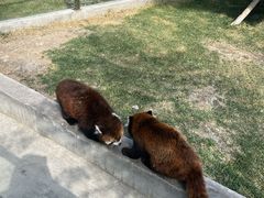 -水上乐园·欢乐世界