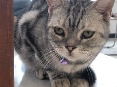 -共舞时光猫咖·狗咖(新街口店)