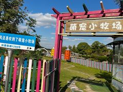 -上海佘山世茂艾美酒店