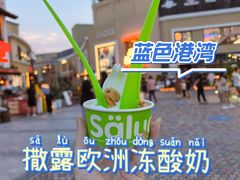 -Salud撒露欧洲冻酸奶(蓝色港湾店)
