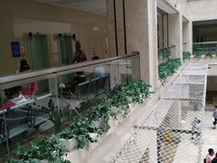 -辽宁省人民医院