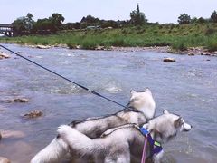 -重庆乌鱼庄·龙滋鲜(青羊大道店)