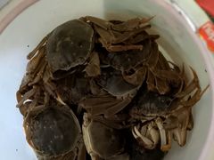 -小象钓虾·营地烧烤(洛溪店)