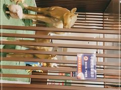 -朱氏牛鼎记鲜牛火锅(山水华庭店)