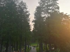-四海公园(南山区)