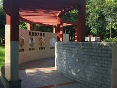 -重庆彩云湖湿地公园