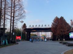 -黄海国家森林公园