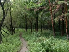 -黑龙江省森林植物园