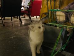 -咖法森林·咖啡  酒吧(天河店)