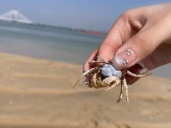 -北海金海湾红树林生态旅游区