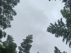 -天目湖涵田度假村
