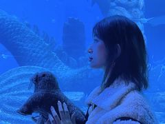 -哈尔滨波塞冬海底世界