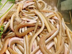 -码头见·潮汕菜(领展中心城店)