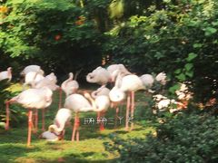-九龙公园
