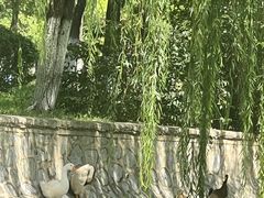-南翠屏公园