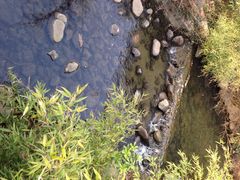 iphone_upload_pic-白马涧龙池景区