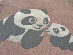 -桤木河湿地公园