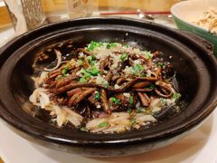 烧软兜-扬州香格里拉·香宫中餐厅