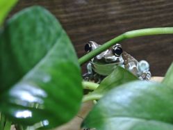 -Zoolung Zoolung动物主题公园(海信广场店)