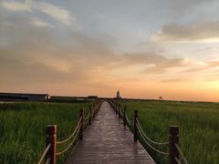 -东方华地城湿地温泉度假区