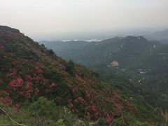 -木兰云雾山