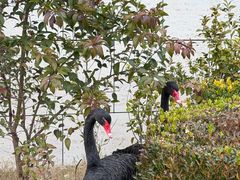-南京圣和府邸豪华精选酒店