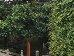 -穹窿山景区