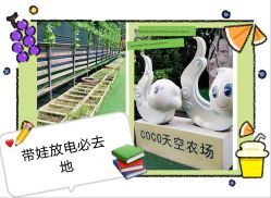 -可可天空农场(中大店)
