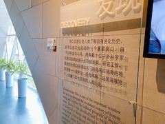 -北京周口店北京人遗址博物馆
