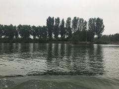 -白洋淀景区