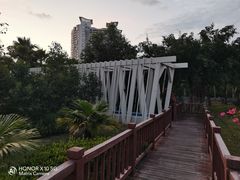 -金鸡岭桥头公园