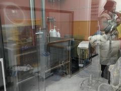 -瑞派·爱瑞可动物医院·口腔专科(广华新城分院)
