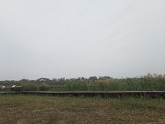 -西青郊野公园